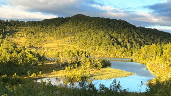 Med naturens hjälp