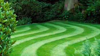 10 sätt att imponera med gräs