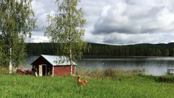 Antalet strandskyddsdispenser ökar