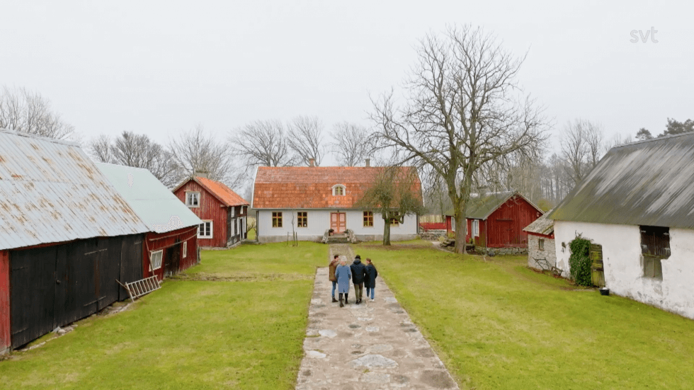 Husdrömmar SVT