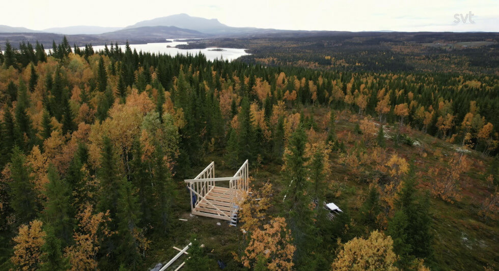 stuga jämtland skogen