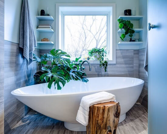 Large-Plants-Bathroom.jpg