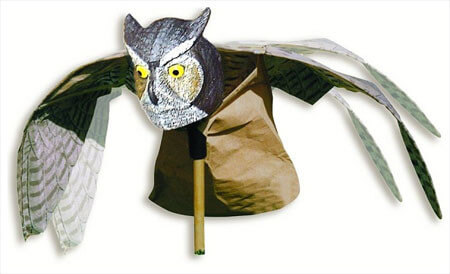 prowlerowl.jpg