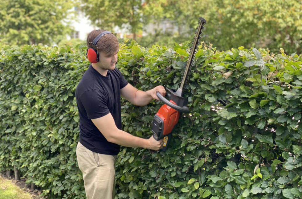 Gustaf klippte 22 meter bokhäck och 22 meter ligusterhäck för att komma fram tilll hur lång tid det tar att klippa häcken. Svaret hittar du nedan.