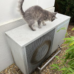 Luft vatten värmepump med katt på